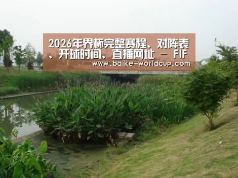 案例展示四(图1)