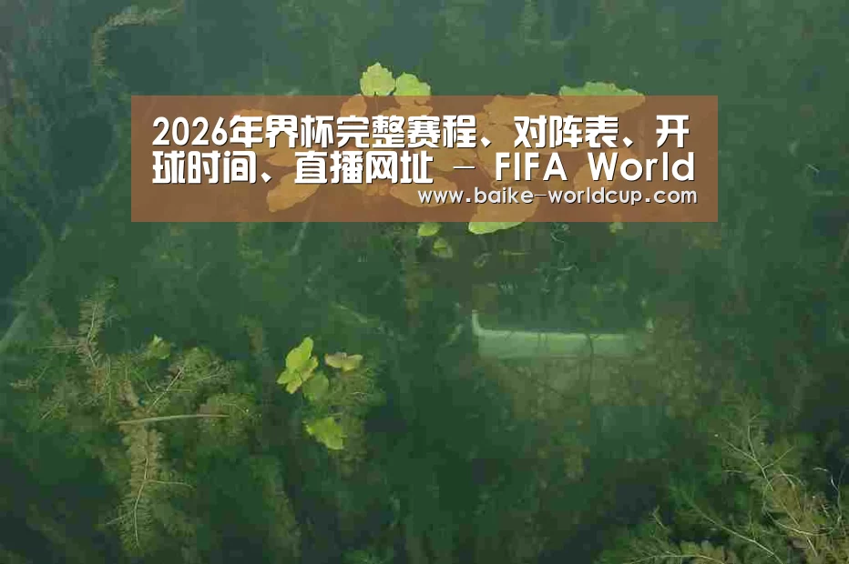 案例展示三(图1)