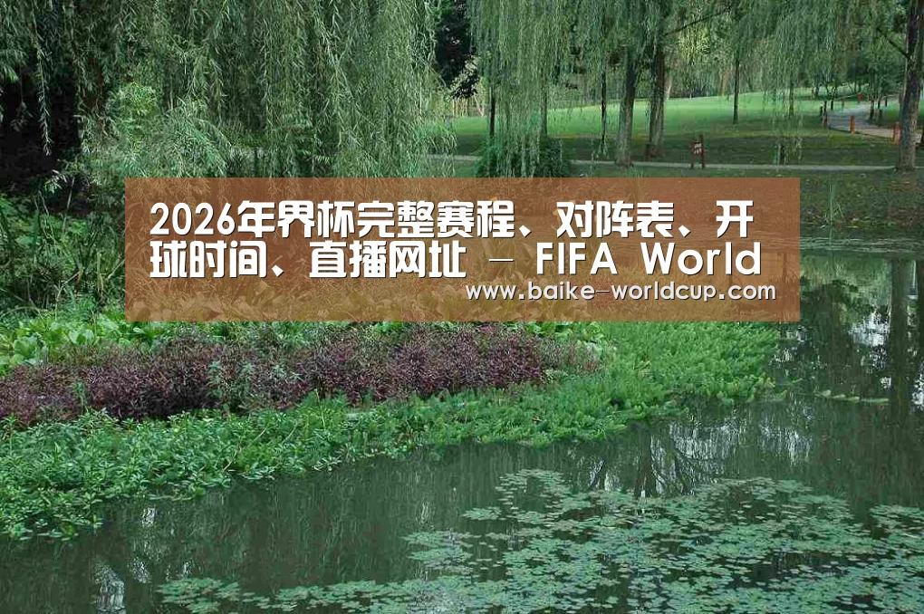 案例展示一(图1)