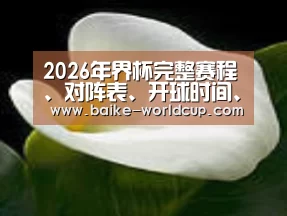 产品名称七