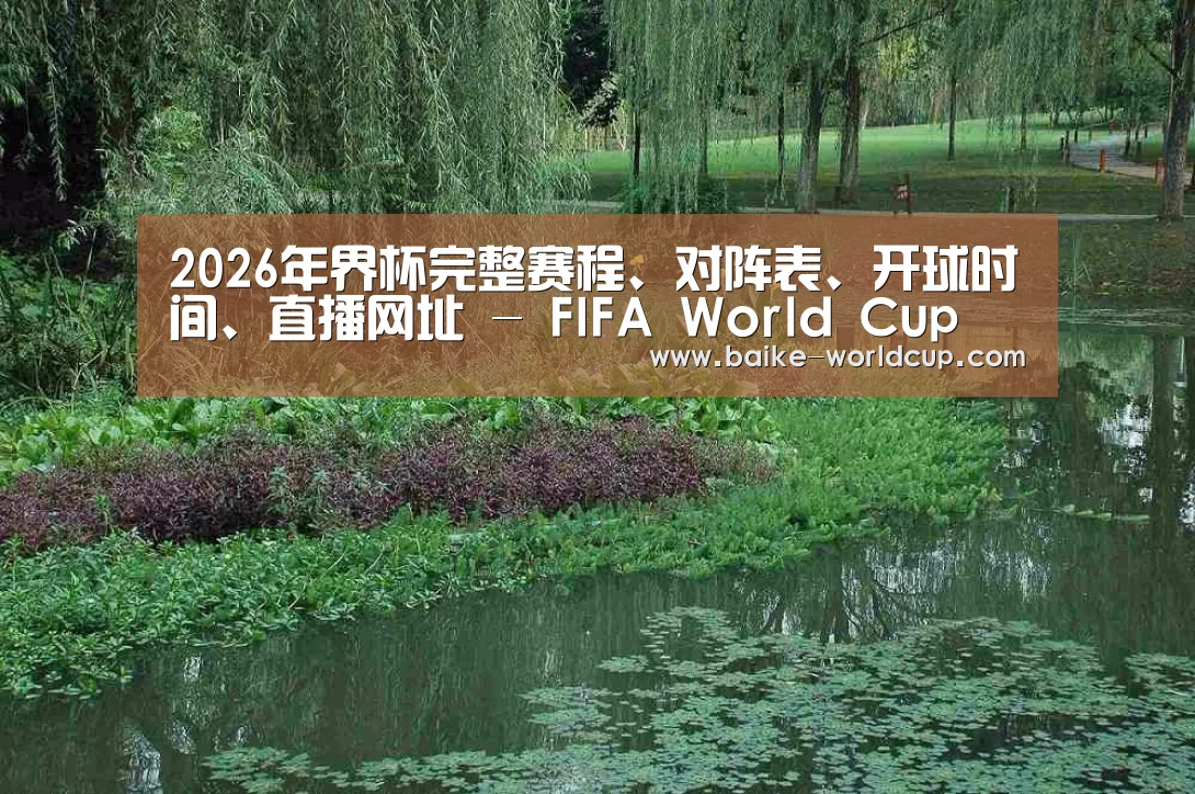 案例展示一