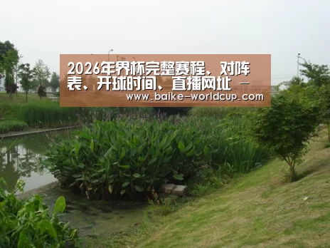 案例展示四