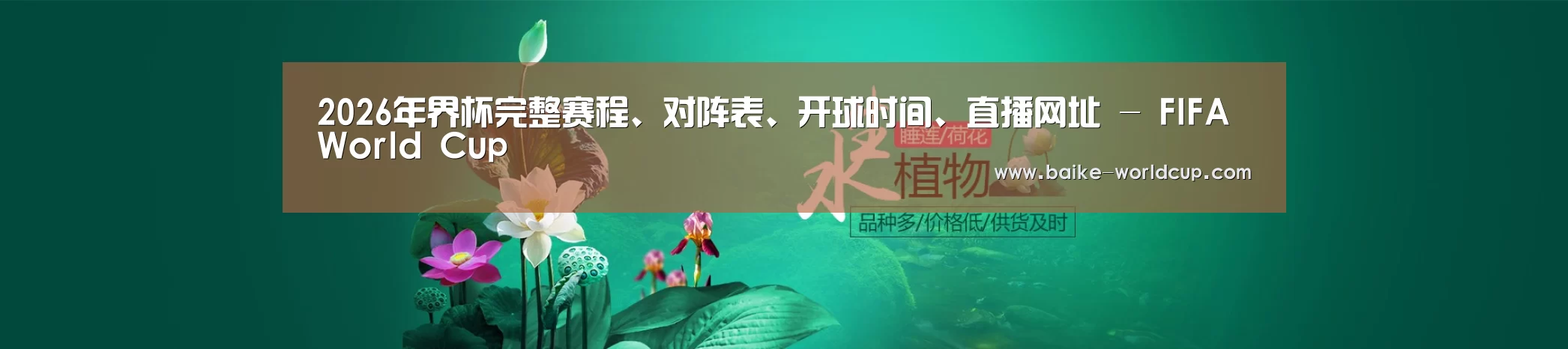 鲜花水草花卉网站模板